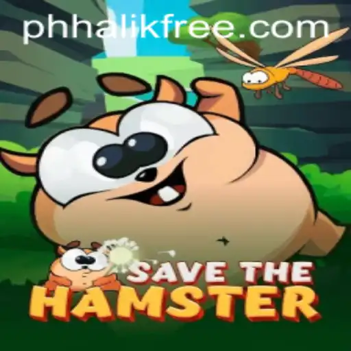 Exploring SavetheHamster Adventure